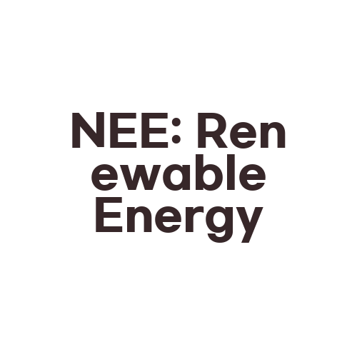 NEE: Renewable Energy